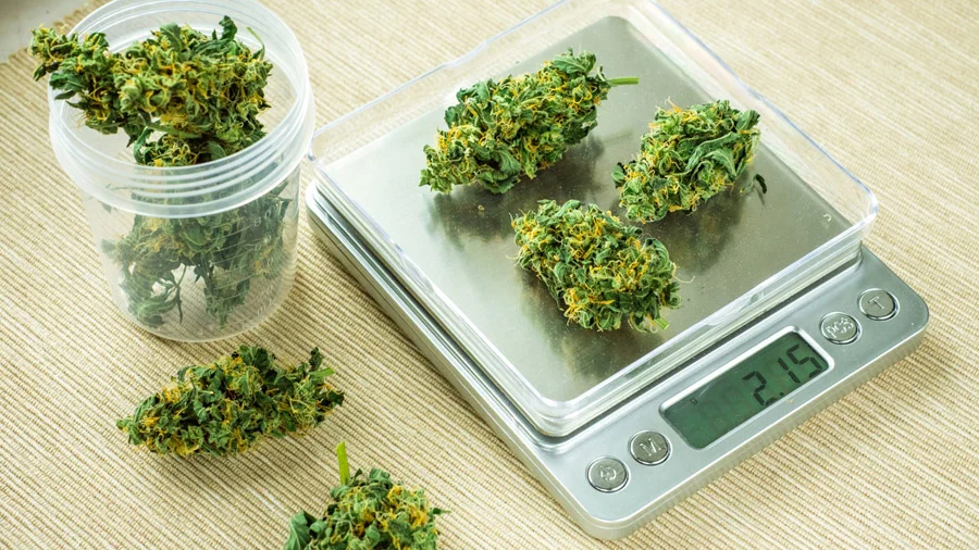 How to Weigh Weed